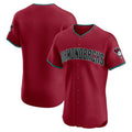 Arizona Diamondbacks Red CONTON Alternate 2 Elite Jersey